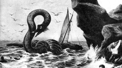 Photo of Океанские чудовища: миф или реальность?