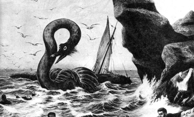 Photo of Океанские чудовища: миф или реальность?