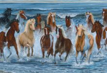 Photo of Океанские истории: удивительные приключения