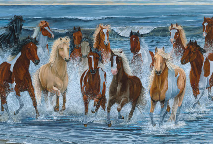 Photo of Океанские истории: удивительные приключения