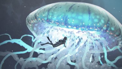 Photo of Океанские тайны: загадочные факты