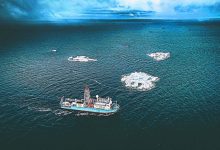 Photo of Океанские миграции: удивительные открытия