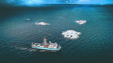 Photo of Океанские миграции: удивительные открытия