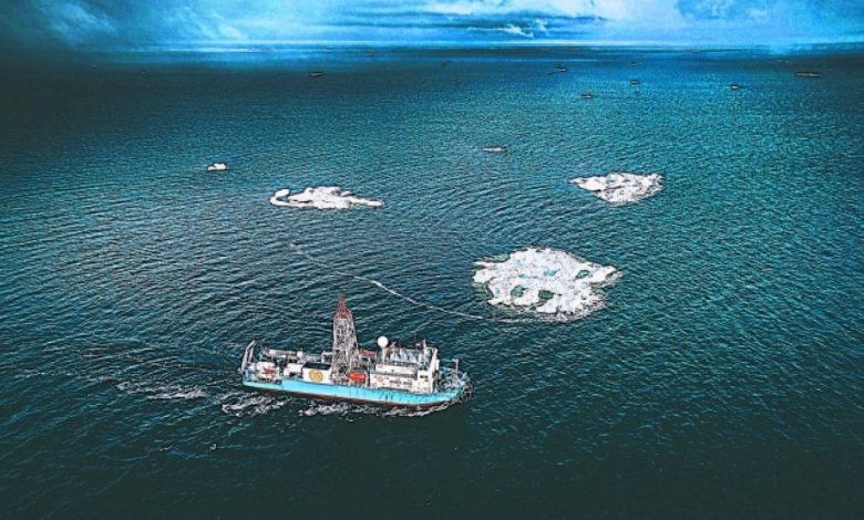 Photo of Океанские миграции: удивительные открытия