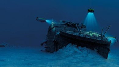 Photo of Океанские богатства: сокровища на дне